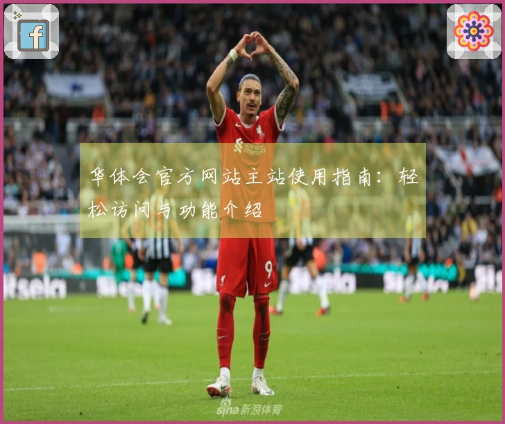 华体会官方网站主站使用指南：轻松访问与功能介绍